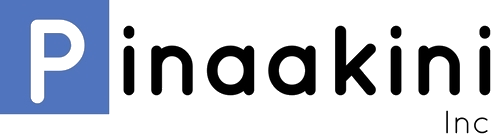 PINAAKINI INC
